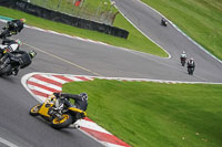 brands-hatch-photographs;brands-no-limits-trackday;cadwell-trackday-photographs;enduro-digital-images;event-digital-images;eventdigitalimages;no-limits-trackdays;peter-wileman-photography;racing-digital-images;trackday-digital-images;trackday-photos